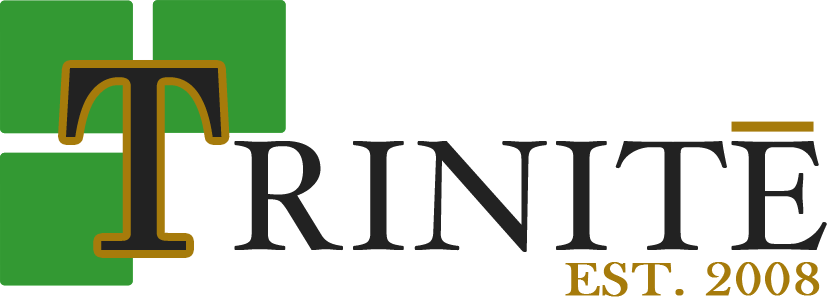 Trinite Staffing Insurance Logo